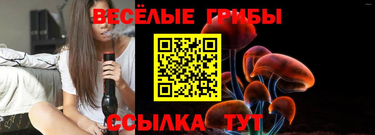 как найти закладки  Вход с VPN  Биробиджан  Псилоцибиновые грибы ЛСД 
